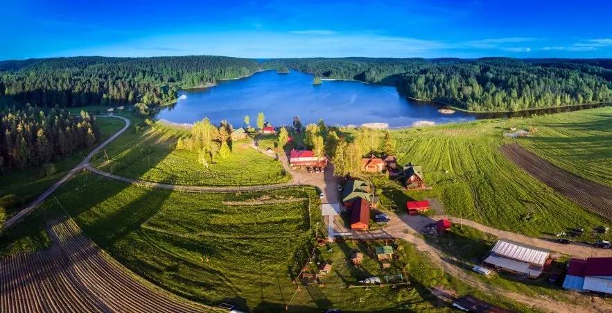 База отдыха на берегу Ладоги — вид с дрона